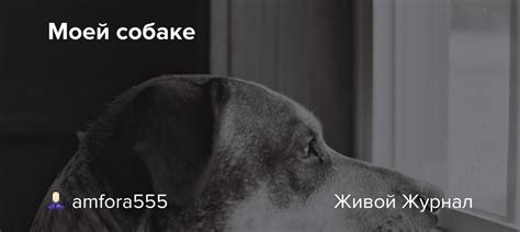 Пора была, а помнишь пес все был здесь