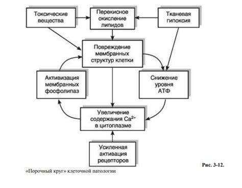Порочный круг в доказательстве: преодоление и выход из него
