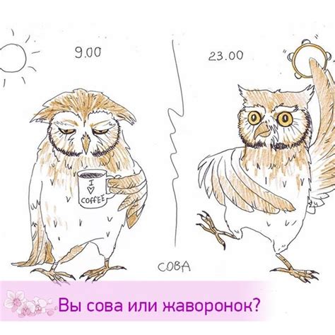 Портрет типичного "жаворонка" и "совы" в контексте тренировок