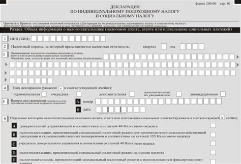 Порядок заполнения и сдачи декларации