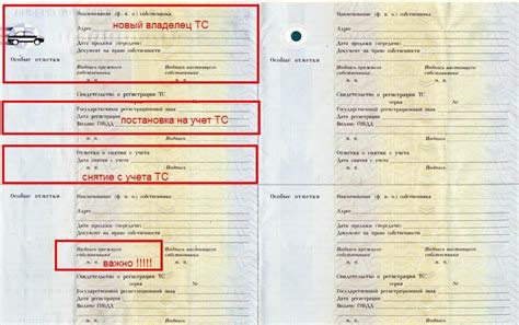 Порядок оформления нового ПТС