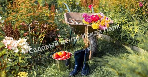 Посадка деревьев в сентябре: важные моменты