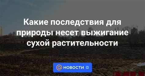 Последствия для природы