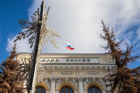 Последствия замораживания сельдерея
