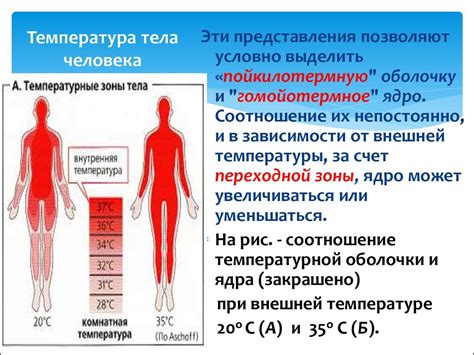 Последствия изменения температуры взрослого человека