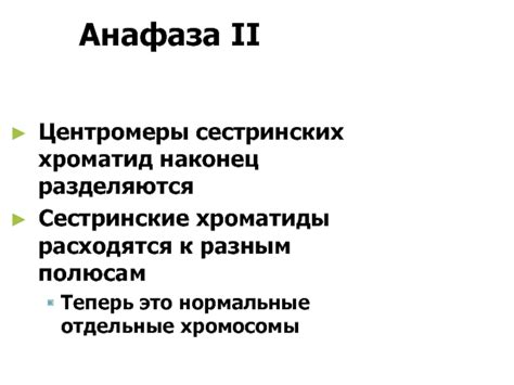 Последствия нерасхождения сестринских хроматид