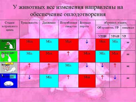 Последствия поноса перед началом эстрального цикла