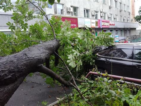 Последствия тайфуна Лайнрок в Приморье