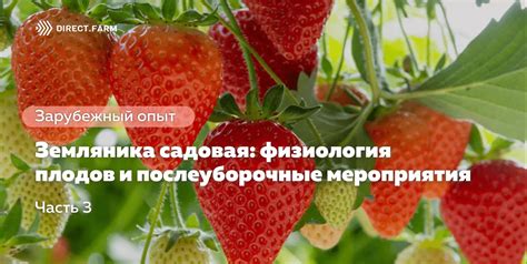 Послеуборочные мероприятия и хранение урожая