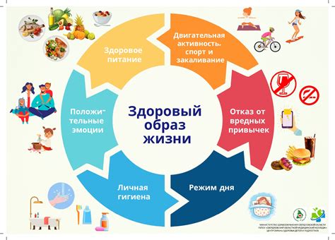 Построение здорового образа жизни