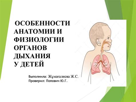 Потенциальные причины ротового дыхания у детей