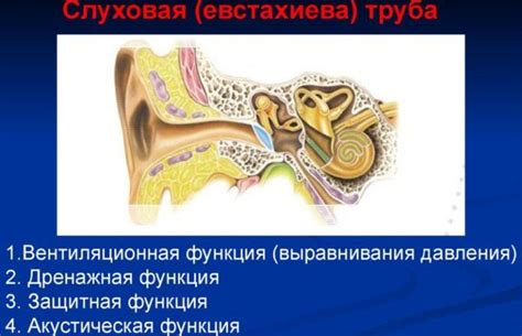Потенциальные риски при продувании ушей при отите