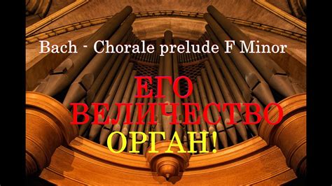Потрясающая музыка и великолепные исполнители