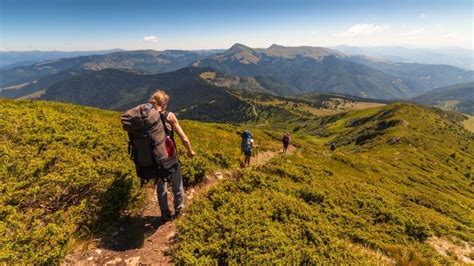 Почему в августе не стоит ходить в лес: опасности для здоровья