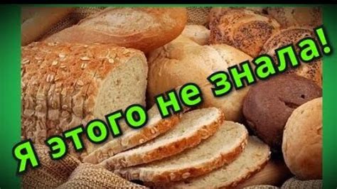 Почему заплесневелый хлеб опасен для кур