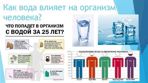Почему нельзя пить холодную воду после баранины