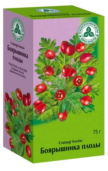 Почему осень - оптимальное время для уборки боярышника