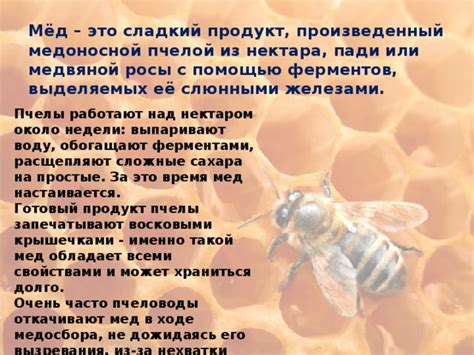 Почему появляется осадок в меде и каков он может быть
