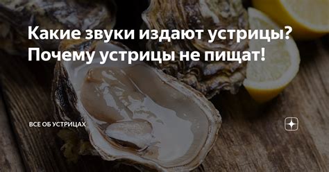 Почему устрицы пищат при потреблении