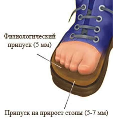 Почему у детей нога растет зимой