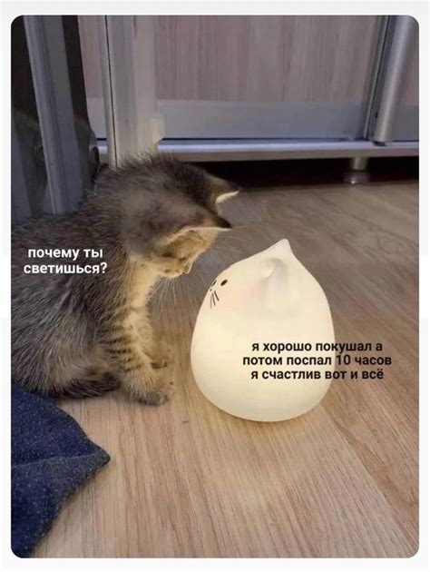 Почему я счастлив