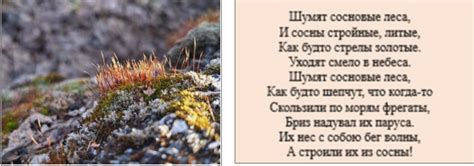 Поэтическое восприятие красоты природы на желтеющей ниве