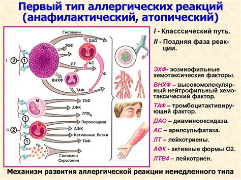 Появление аллергических реакций