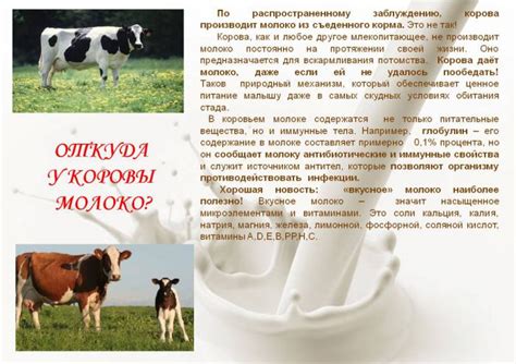 Появление молока у щенной суки