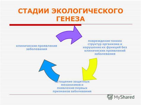 Появление первых случаев заболевания
