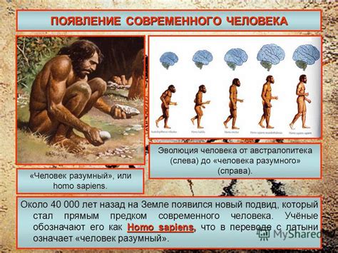 Появление похожих на Homo sapiens форм