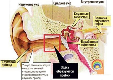 Появление серы в ушах у человека