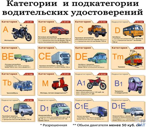 Права и обязанности: возможность вождения в автомобиле отца