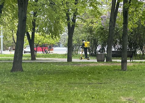 Правила безопасного хранения катаны