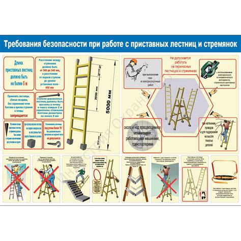 Правила безопасности при работе с ловушками на деревьях