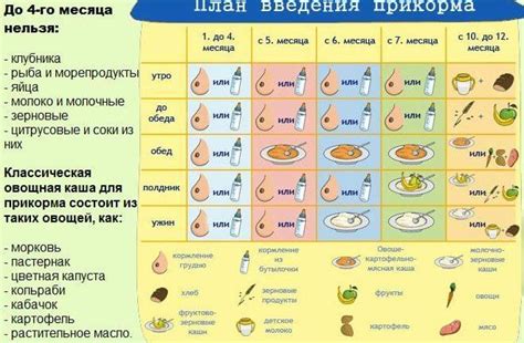 Правила введения каши