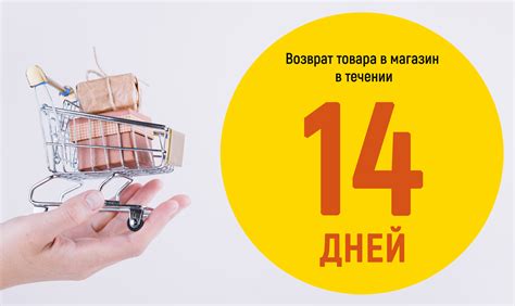 Правила возврата товара на основе законодательства
