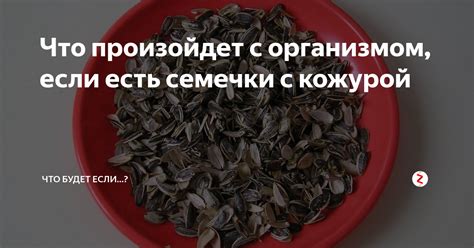 Правила выбора качественных семечек с кожурой