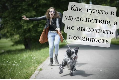 Правила выгуливания собаки возле дома