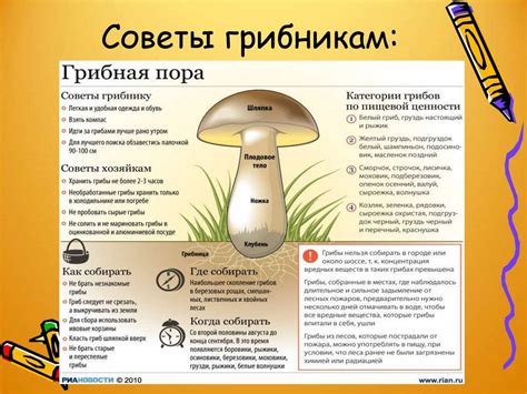 Правила закатывания грибов
