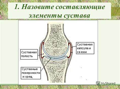 Правила и обязательные элементы