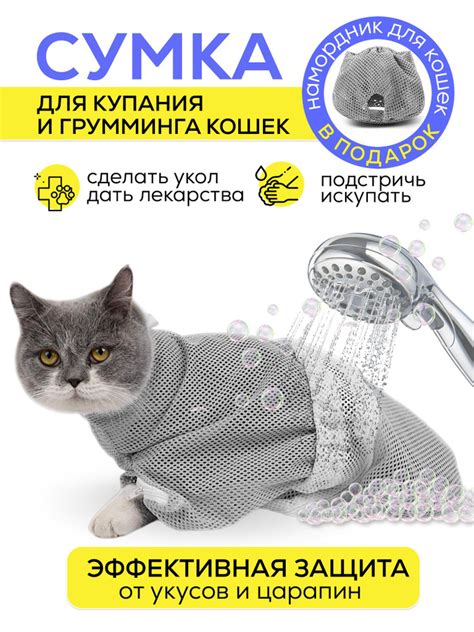 Правила и рекомендации для купания кошки во время прогулки