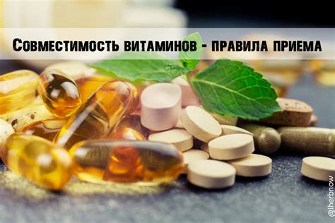 Правила и рекомендации для оптимальной совместимости витаминов В6 и В12
