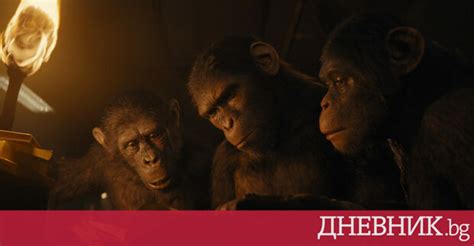 Правила и условия сегодняшнего КВНа