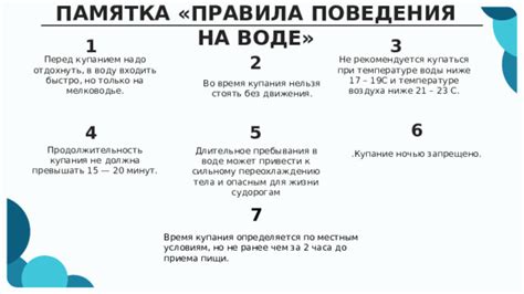 Правила кормления перед купанием