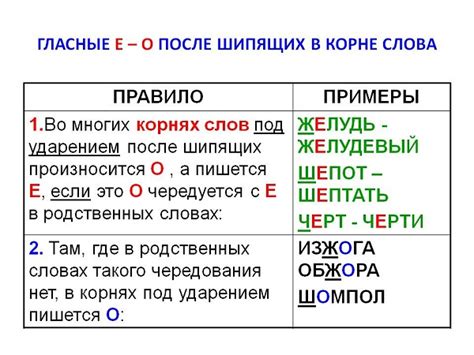 Правила написания буквы "е" в паспорте