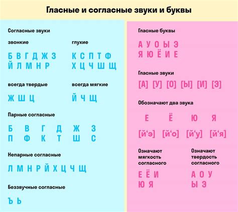 Правила написания буквы "шь" в русском языке