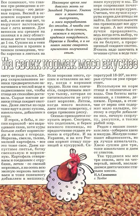 Правила подачи свеклы курам