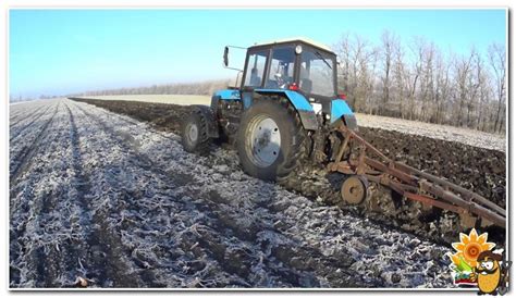 Правила подготовки почвы