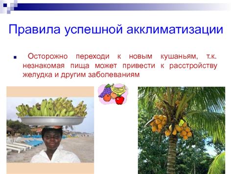 Правила полива для успешной акклиматизации