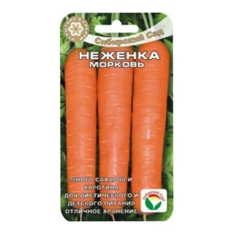 Правила посадки моркови с чесноком